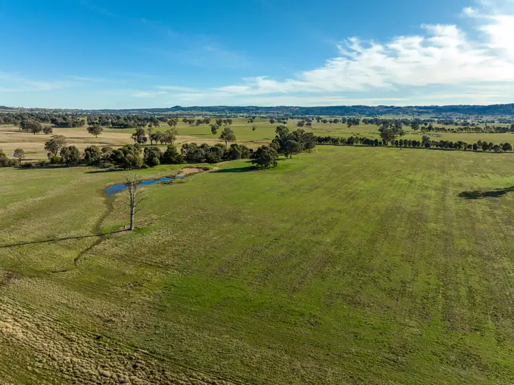 Sixth view of Homely rural property listing, 'Billoonbah', 374 Woolshed Lane, Big Springs NSW 2650