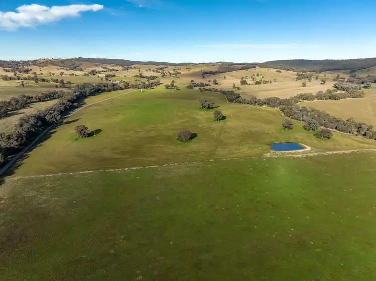Seventh view of Homely rural property listing, 'Billoonbah', 374 Woolshed Lane, Big Springs NSW 2650