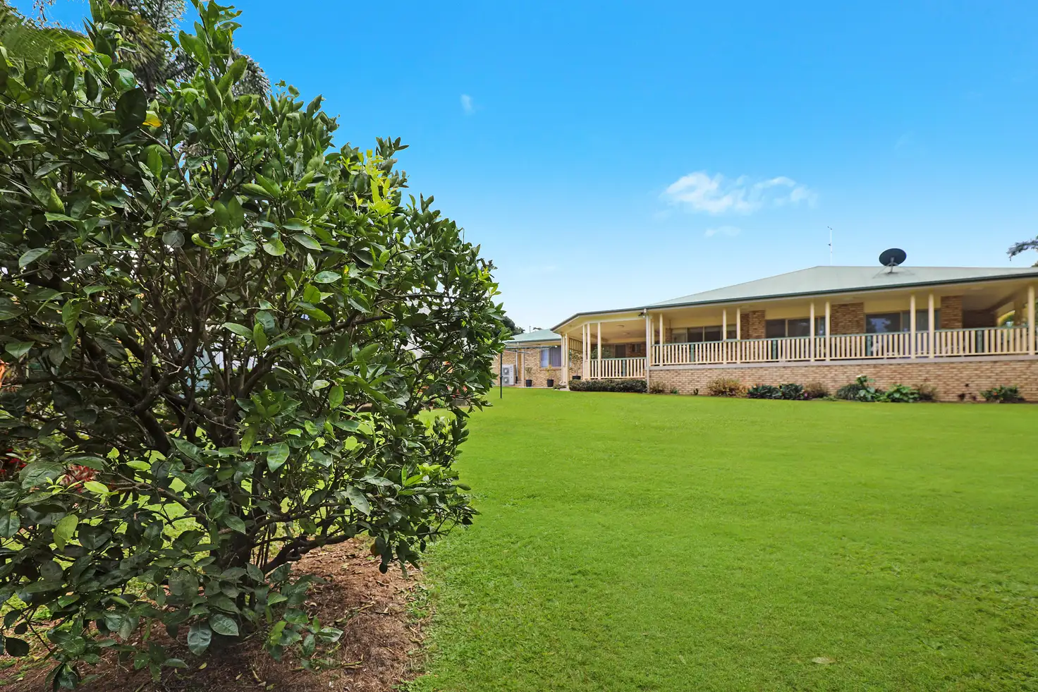 Main view of Homely house listing, 18 Clarkes Road, Diddillibah QLD 4559