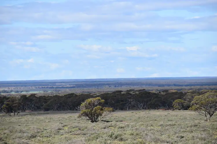 Section 36 Stonefield Road, Brownlow SA 5374