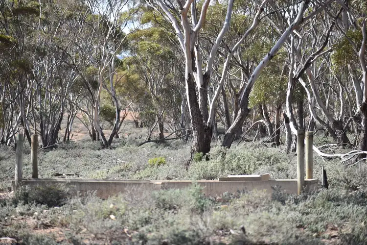 Second view of Homely land listing, Section 36 Stonefield Road, Brownlow SA 5374