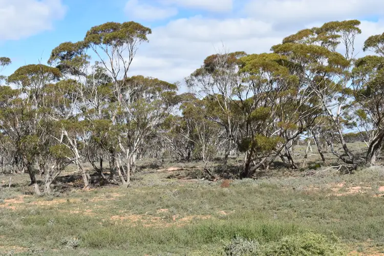Fourth view of Homely land listing, Section 36 Stonefield Road, Brownlow SA 5374
