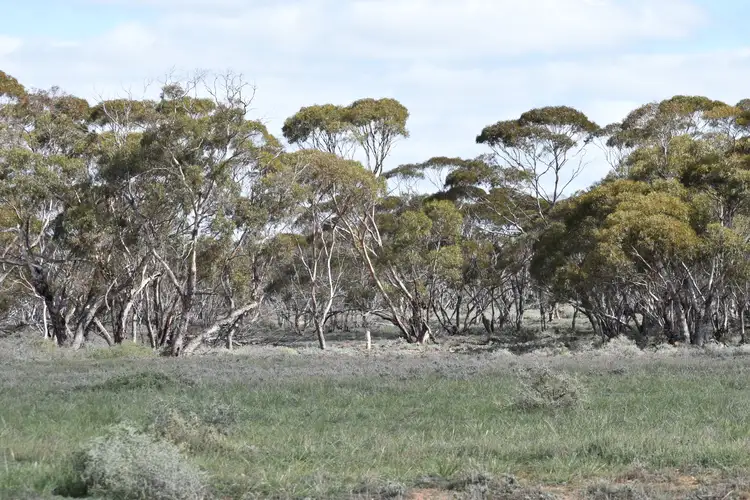 Fifth view of Homely land listing, Section 36 Stonefield Road, Brownlow SA 5374