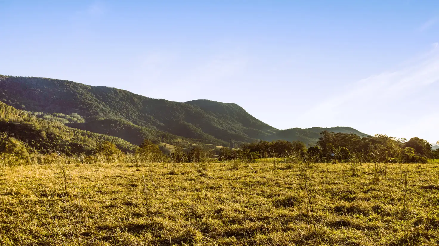 Main view of Homely rural property listing, 1187b Nowendoc Road, Mount George NSW 2424