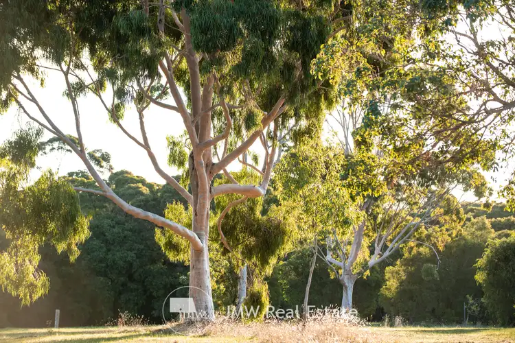 Main view of Homely land listing, LOT 519 Witchcliffe Forest Estate, 22 Redgate Road, Witchcliffe WA 6286