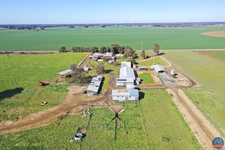 Third view of Homely rural property listing, 338 McBain Road, Wyuna VIC 3620