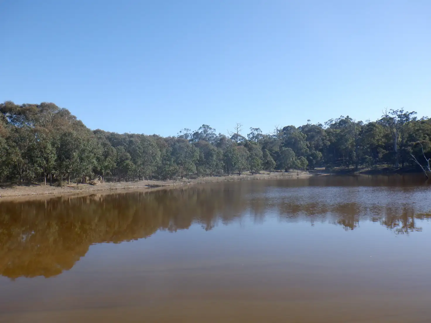 Main view of Homely rural property listing, Lot 200 Yarri Road, Manjimup WA 6258