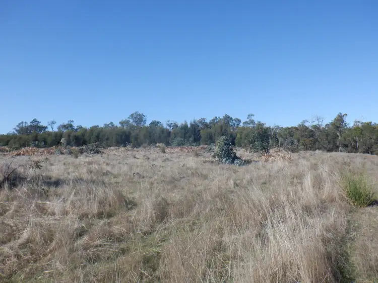 Fourth view of Homely rural property listing, Lot 200 Yarri Road, Manjimup WA 6258