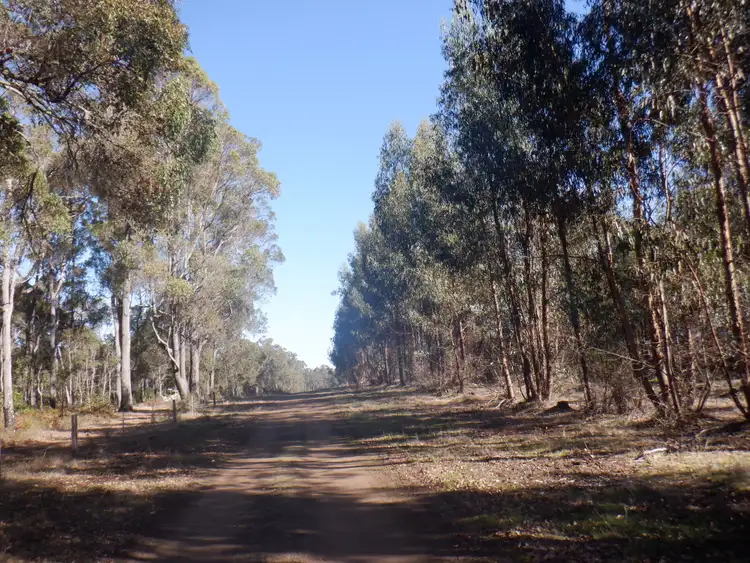 Fifth view of Homely rural property listing, Lot 200 Yarri Road, Manjimup WA 6258