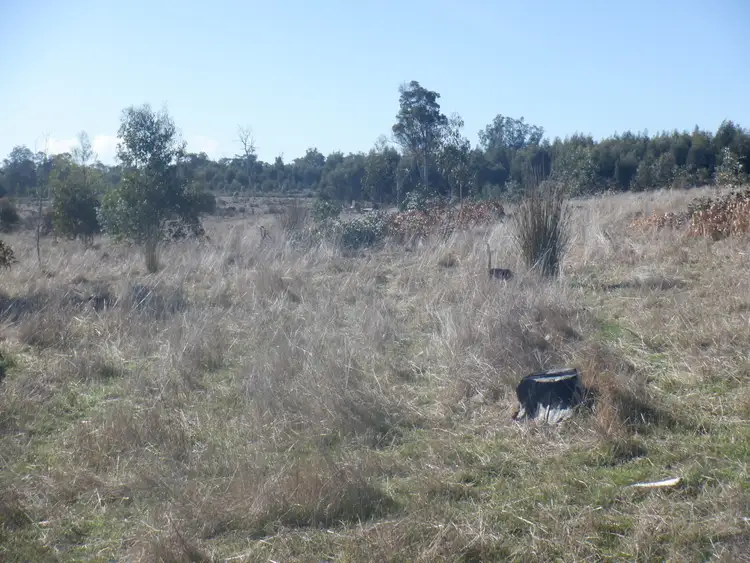 Sixth view of Homely rural property listing, Lot 200 Yarri Road, Manjimup WA 6258