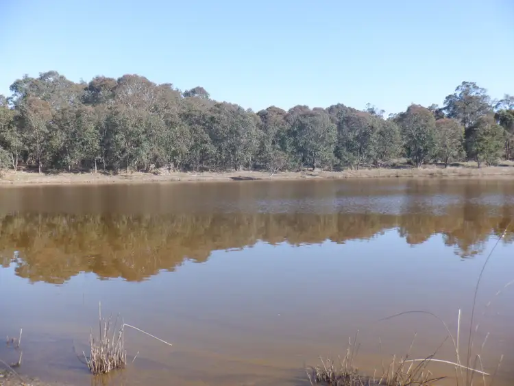 Seventh view of Homely rural property listing, Lot 200 Yarri Road, Manjimup WA 6258