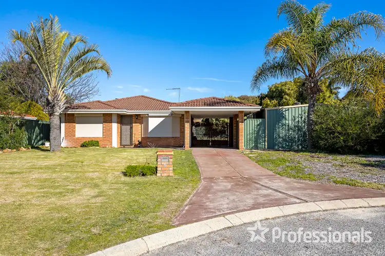 Seventh view of Homely house listing, 6 Comet Court, Alexander Heights WA 6064
