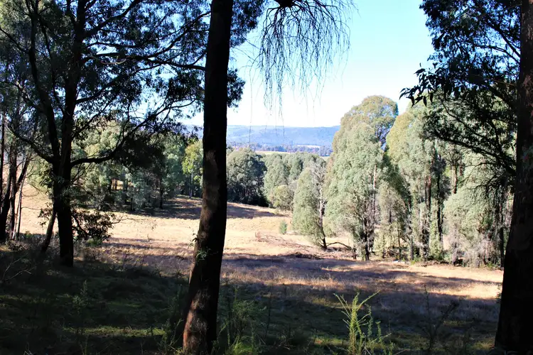 Main view of Homely rural property listing, 287 Willigobung Road, Willigobung NSW 2653