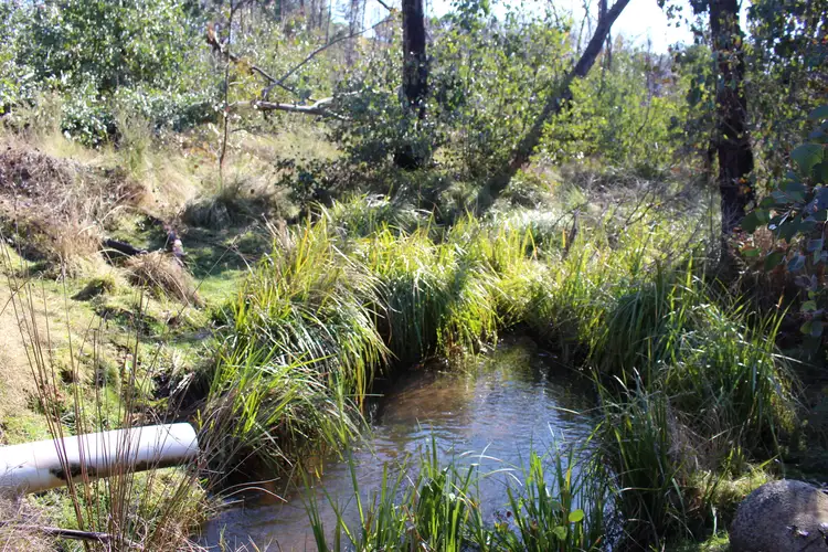 Second view of Homely rural property listing, 287 Willigobung Road, Willigobung NSW 2653