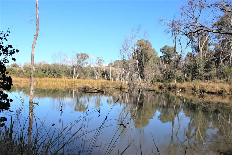 Third view of Homely rural property listing, 287 Willigobung Road, Willigobung NSW 2653