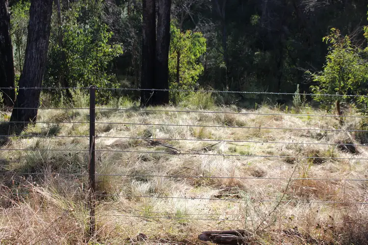 Fourth view of Homely rural property listing, 287 Willigobung Road, Willigobung NSW 2653