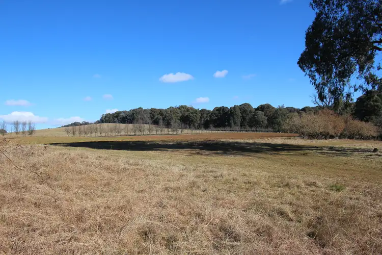 Sixth view of Homely rural property listing, 287 Willigobung Road, Willigobung NSW 2653