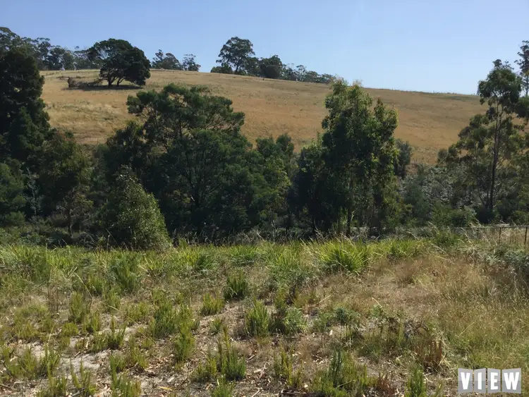 Main view of Homely land listing, 20 Susan Court, St Helens TAS 7216