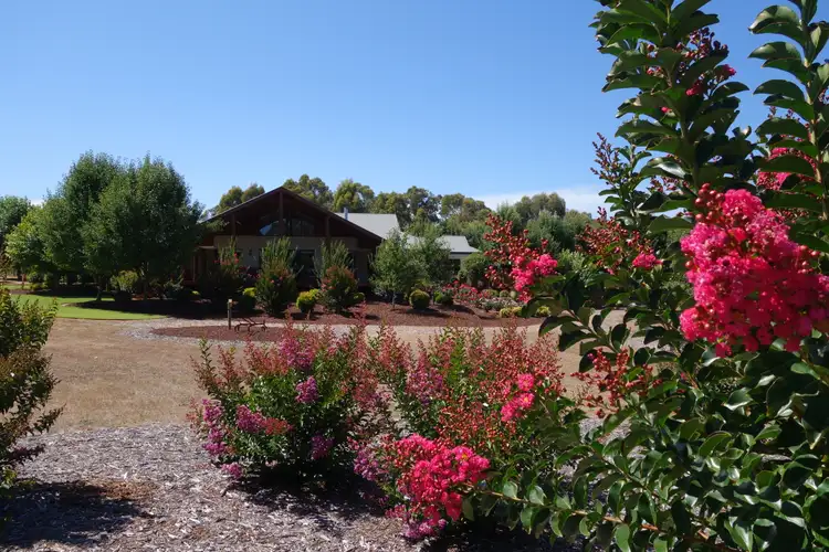Main view of Homely rural property listing, 403 Carbunup Road South, Cowaramup WA 6284