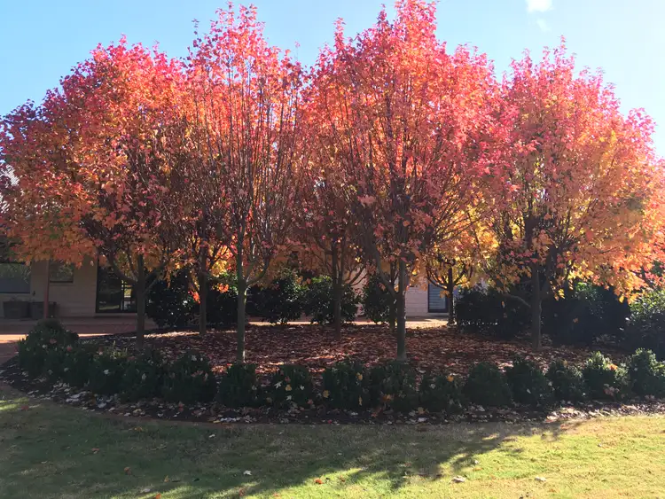 Third view of Homely rural property listing, 403 Carbunup Road South, Cowaramup WA 6284