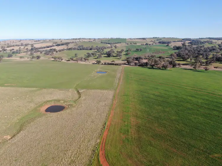 Main view of Homely rural property listing, 'Woburn', 140 Walli Road, Woodstock NSW 2793