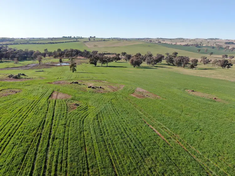 Third view of Homely rural property listing, 'Woburn', 140 Walli Road, Woodstock NSW 2793