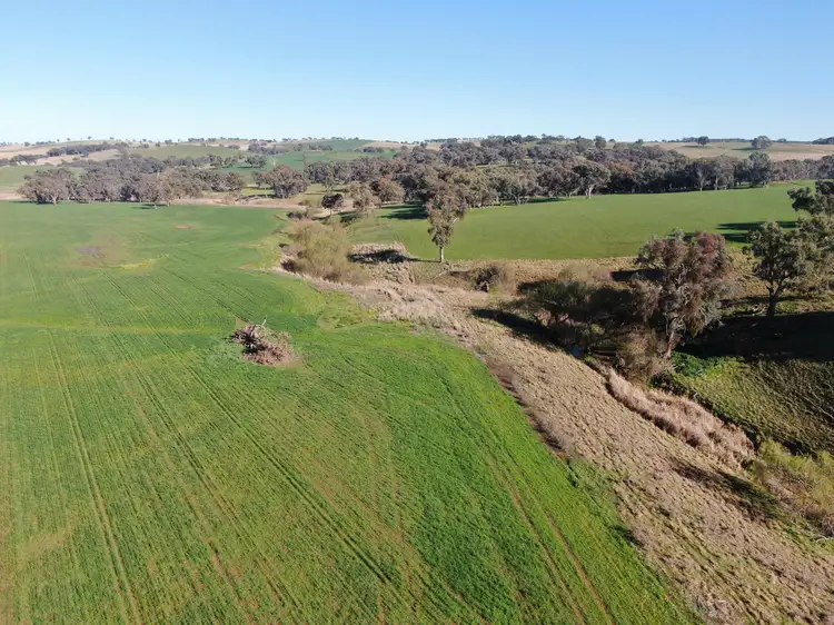 Fourth view of Homely rural property listing, 'Woburn', 140 Walli Road, Woodstock NSW 2793