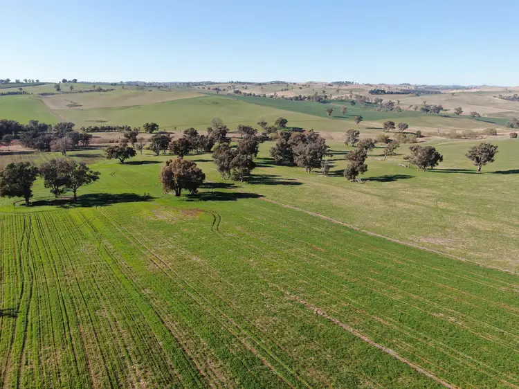 Fifth view of Homely rural property listing, 'Woburn', 140 Walli Road, Woodstock NSW 2793