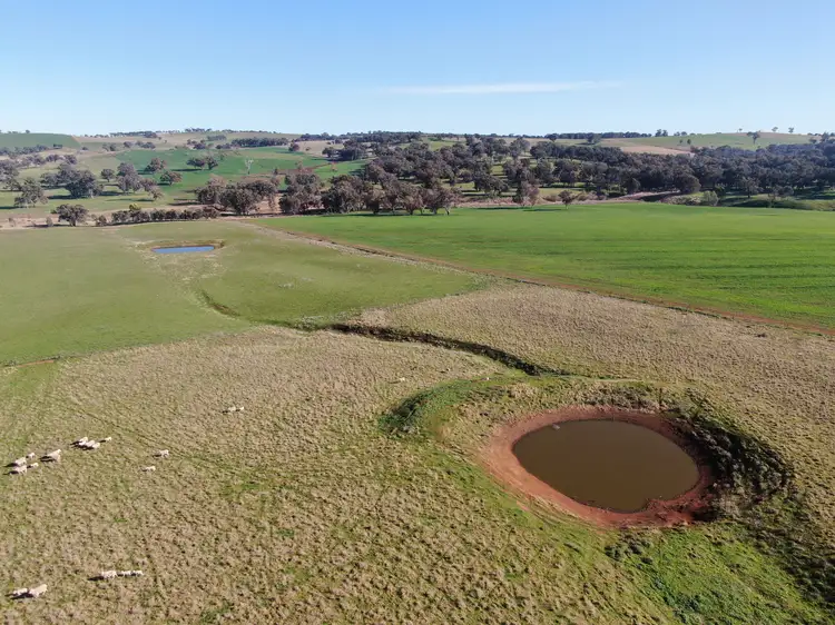 Seventh view of Homely rural property listing, 'Woburn', 140 Walli Road, Woodstock NSW 2793