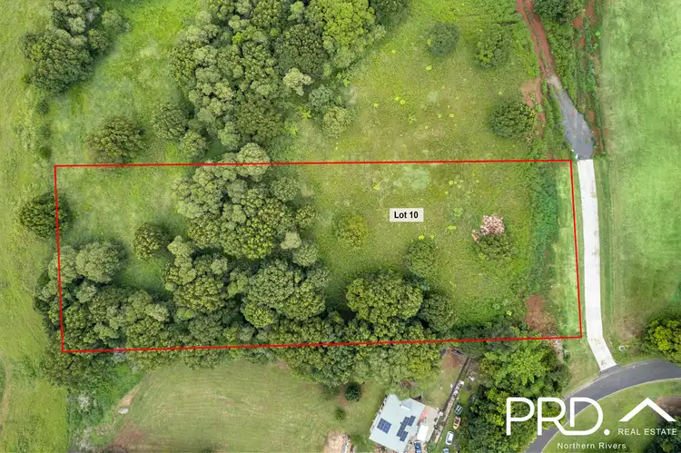 53 Birdwing Place, Modanville NSW 2480