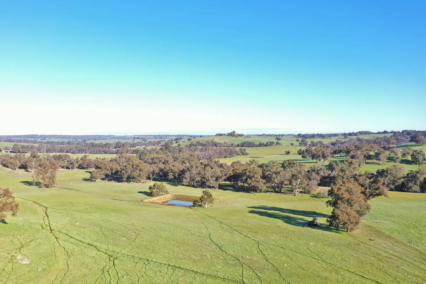 Main view of Homely rural property listing, 223 Boyup Brook-Kojonup Road, Boyup Brook WA 6244