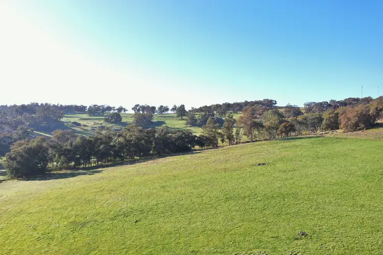 Second view of Homely rural property listing, 223 Boyup Brook-Kojonup Road, Boyup Brook WA 6244