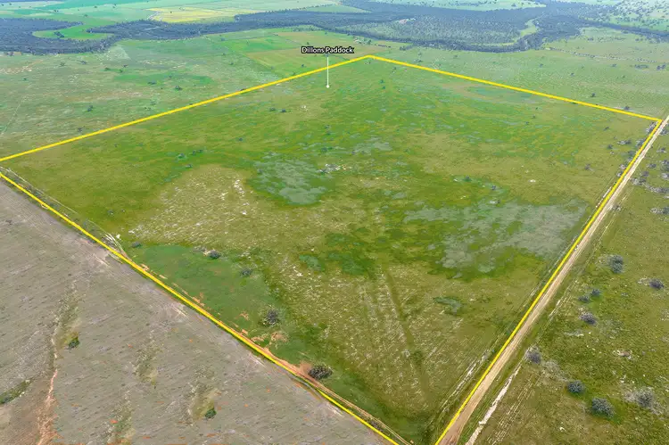 Second view of Homely rural property listing, Toolmah & Dillons 305 Fountain Road (via Swan Hill), Mellool NSW 2734