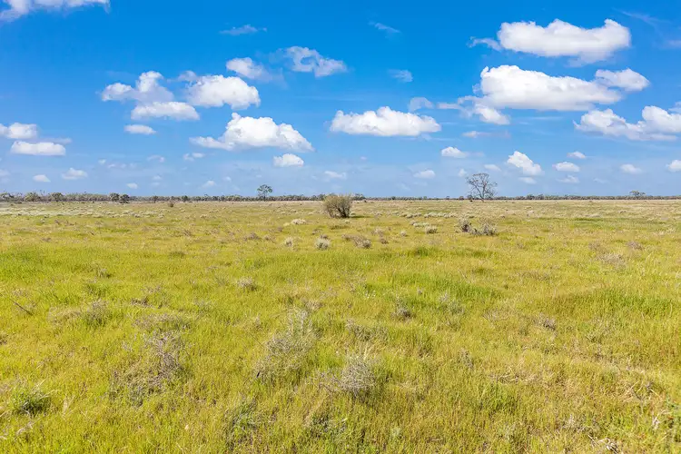 Fourth view of Homely rural property listing, Toolmah & Dillons 305 Fountain Road (via Swan Hill), Mellool NSW 2734
