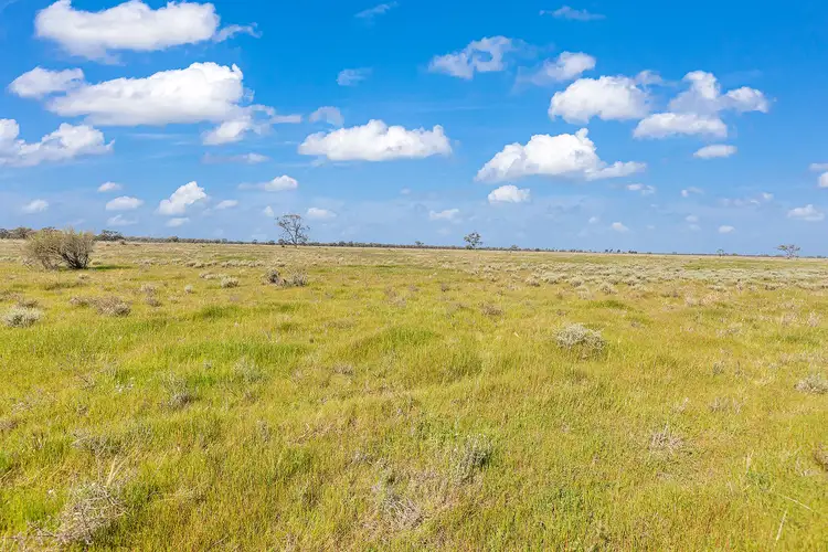 Fifth view of Homely rural property listing, Toolmah & Dillons 305 Fountain Road (via Swan Hill), Mellool NSW 2734