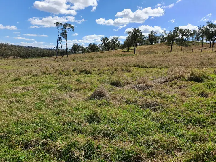 Third view of Homely rural property listing, 305 Youlambie Road, Monto QLD 4630