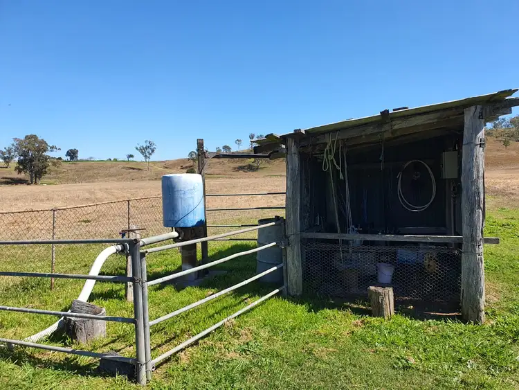Seventh view of Homely rural property listing, 305 Youlambie Road, Monto QLD 4630