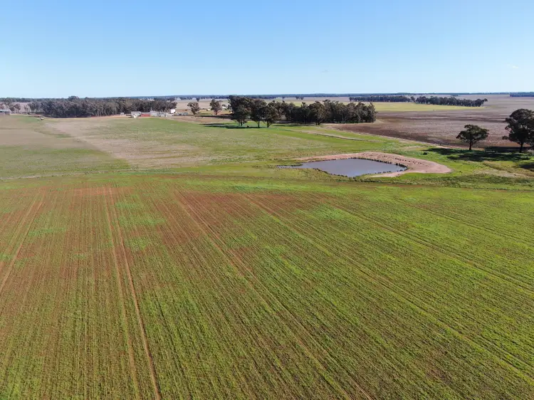 'Glenearra', 1168 Schmidts Lane, Gidginbung NSW 2666