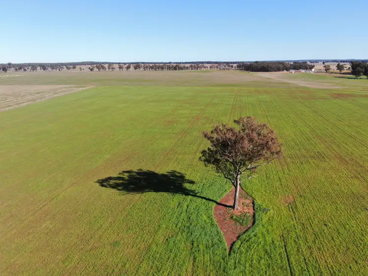 Second view of Homely rural property listing, 'Glenearra', 1168 Schmidts Lane, Gidginbung NSW 2666