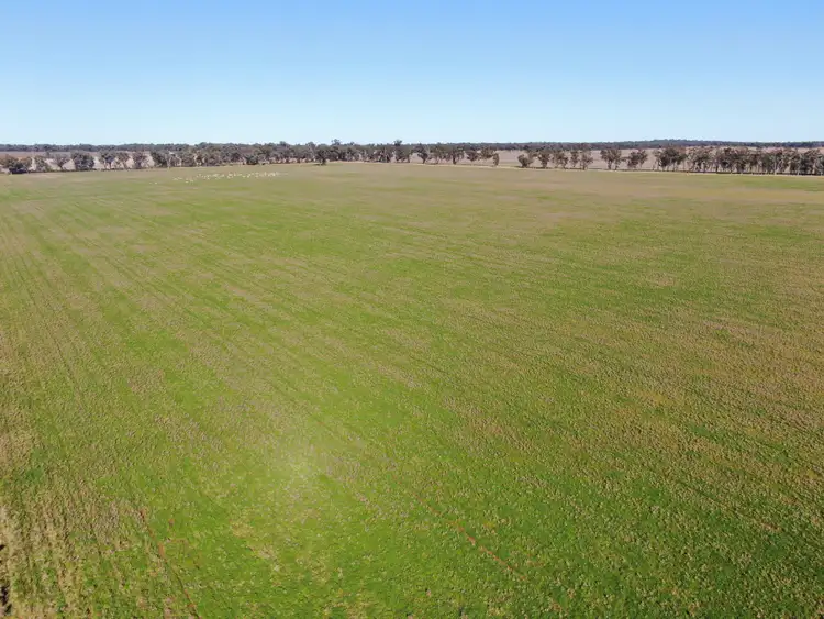 Fourth view of Homely rural property listing, 'Glenearra', 1168 Schmidts Lane, Gidginbung NSW 2666