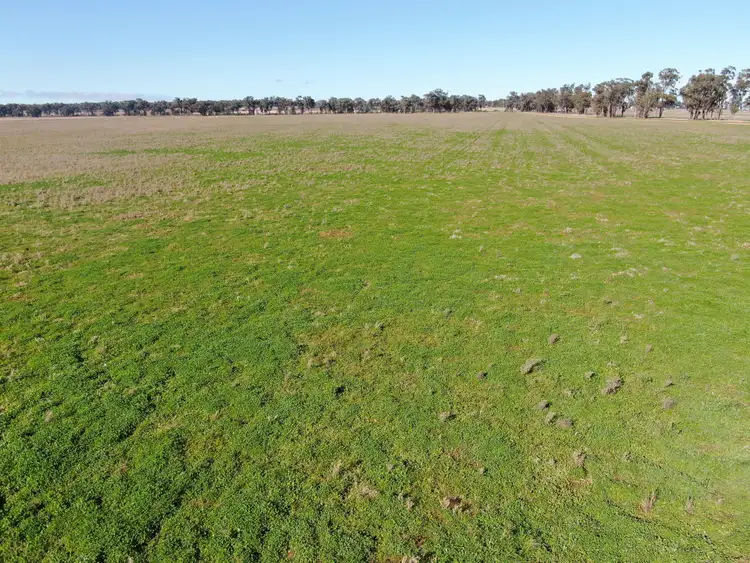 Fifth view of Homely rural property listing, 'Glenearra', 1168 Schmidts Lane, Gidginbung NSW 2666