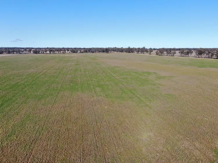 Sixth view of Homely rural property listing, 'Glenearra', 1168 Schmidts Lane, Gidginbung NSW 2666