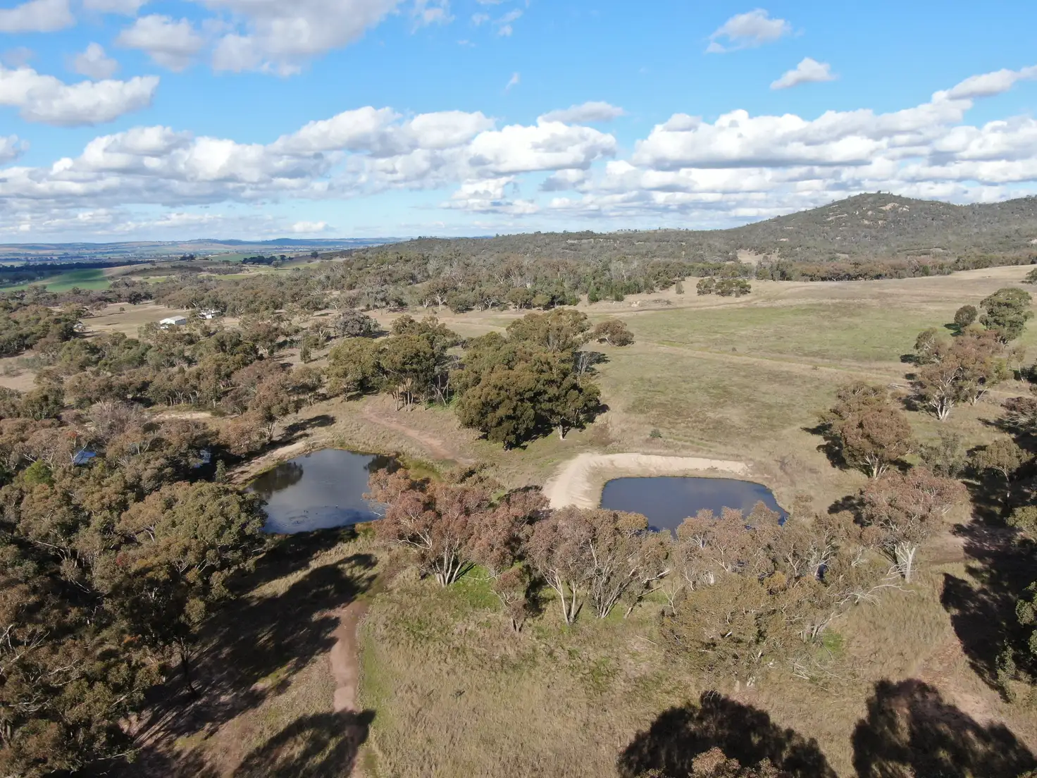 Main view of Homely rural property listing, 'Wruwallin', 420 Cliffords Lane, Stockinbingal NSW 2725