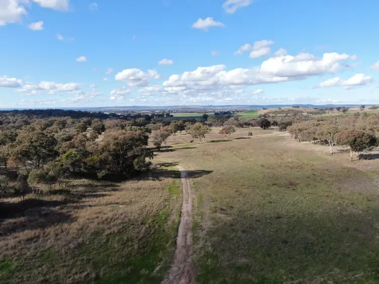 Third view of Homely rural property listing, 'Wruwallin', 420 Cliffords Lane, Stockinbingal NSW 2725