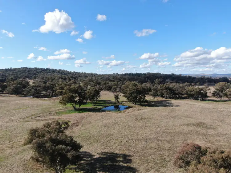 Fourth view of Homely rural property listing, 'Wruwallin', 420 Cliffords Lane, Stockinbingal NSW 2725