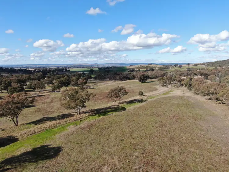 Fifth view of Homely rural property listing, 'Wruwallin', 420 Cliffords Lane, Stockinbingal NSW 2725