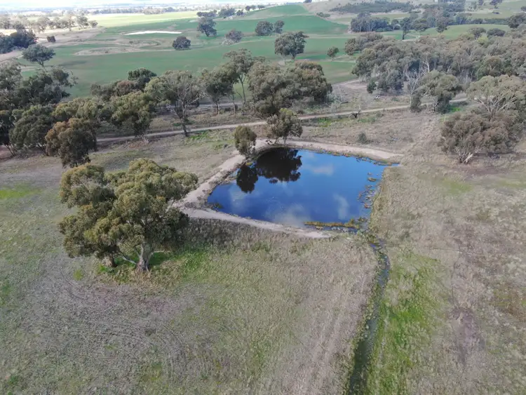 Sixth view of Homely rural property listing, 'Wruwallin', 420 Cliffords Lane, Stockinbingal NSW 2725