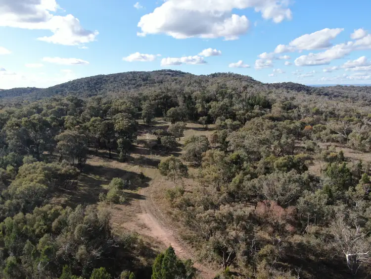 Seventh view of Homely rural property listing, 'Wruwallin', 420 Cliffords Lane, Stockinbingal NSW 2725