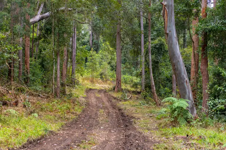 Fifth view of Homely rural property listing, 60 Brother View Lane, Hannam Vale NSW 2443