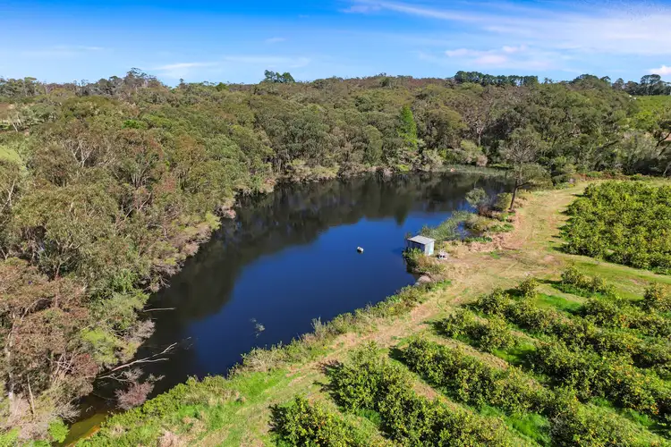 Sixth view of Homely rural property listing, 239 Grants Road, Somersby NSW 2250